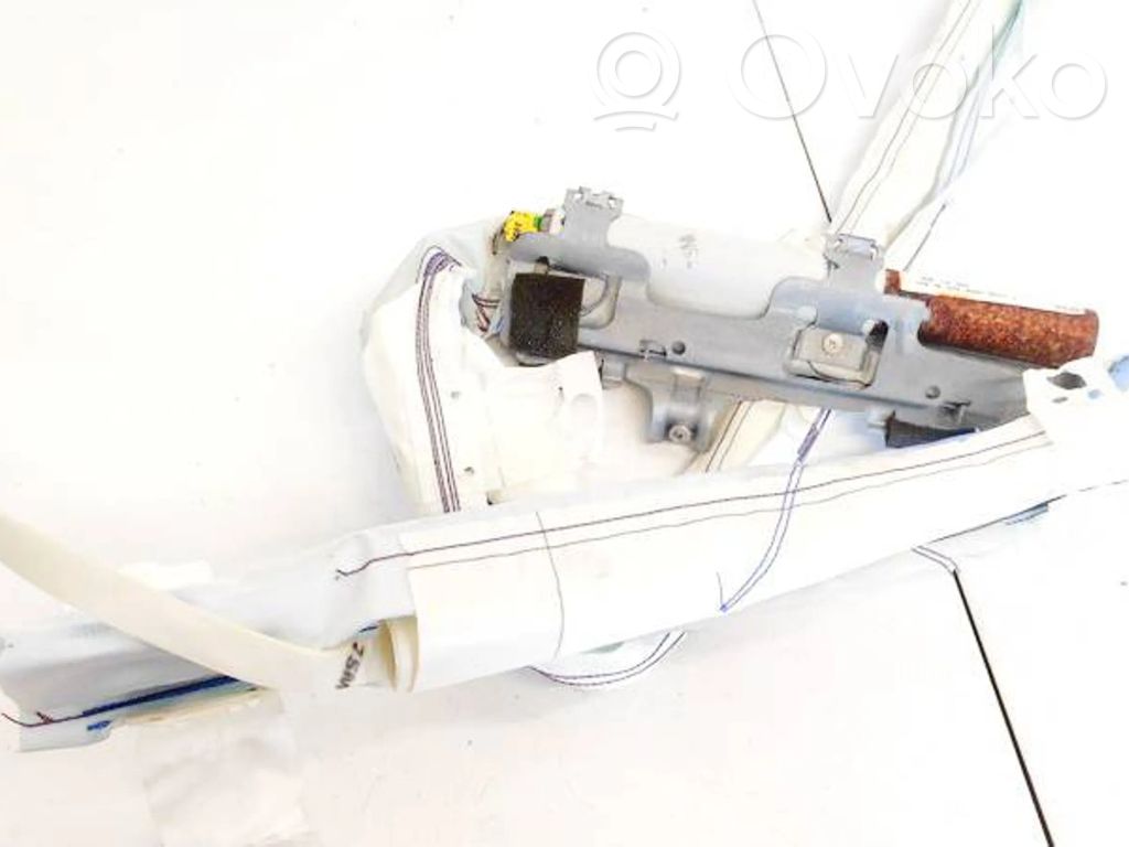 Airbag del techo   13231633,13231633