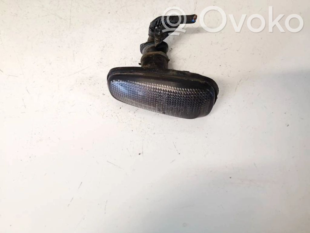 Dodge Magnum Seitenblinker 