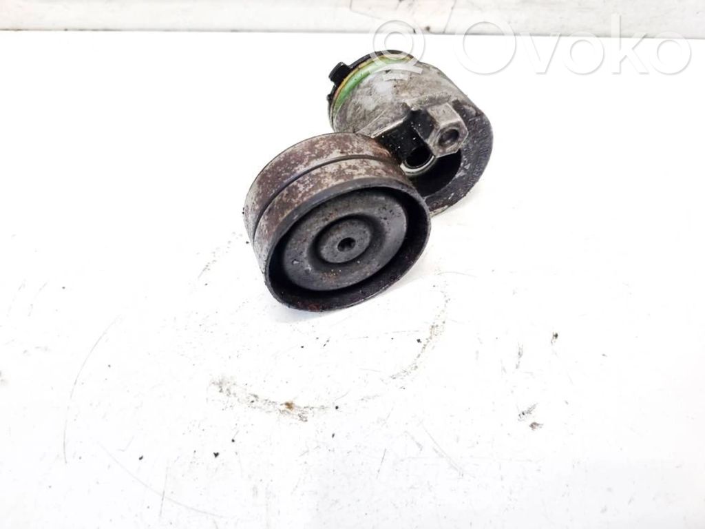 Nissan Primera Tendicinghia generatore/alternatore