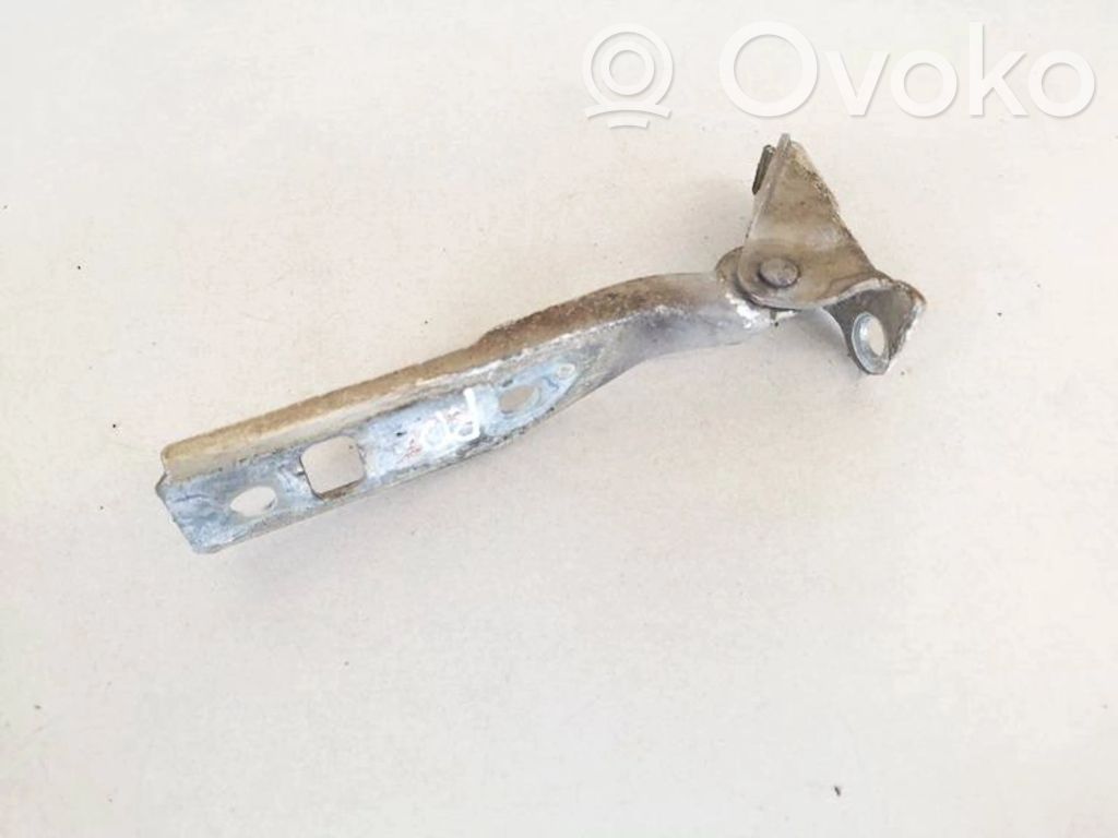 Volkswagen Golf IV Cerniere del vano motore/cofano