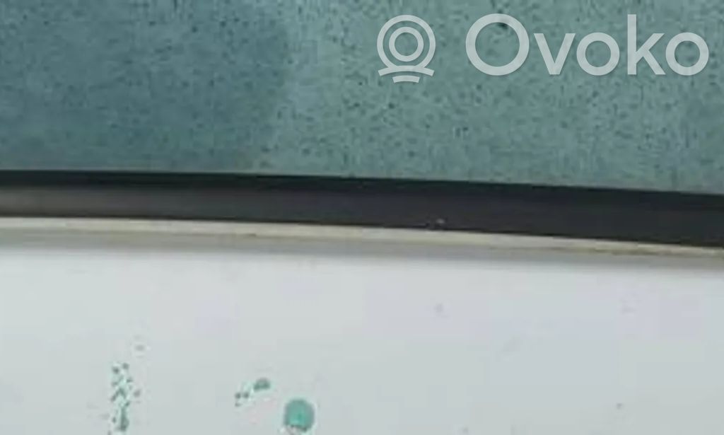 Renault Zoe Ornament geam ușă față 