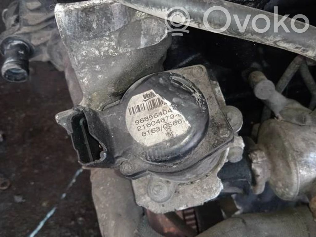 Válvula EGR   9685640480,216046799,216046799,9685640480