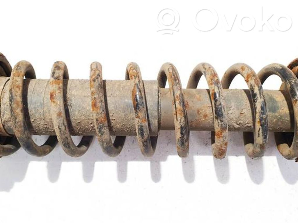 Muelle espiral trasero