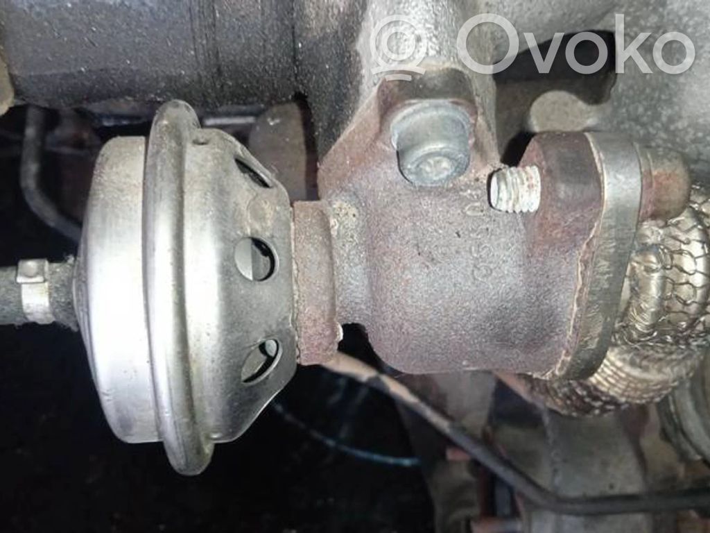Volkswagen PASSAT B5 Válvula EGR 