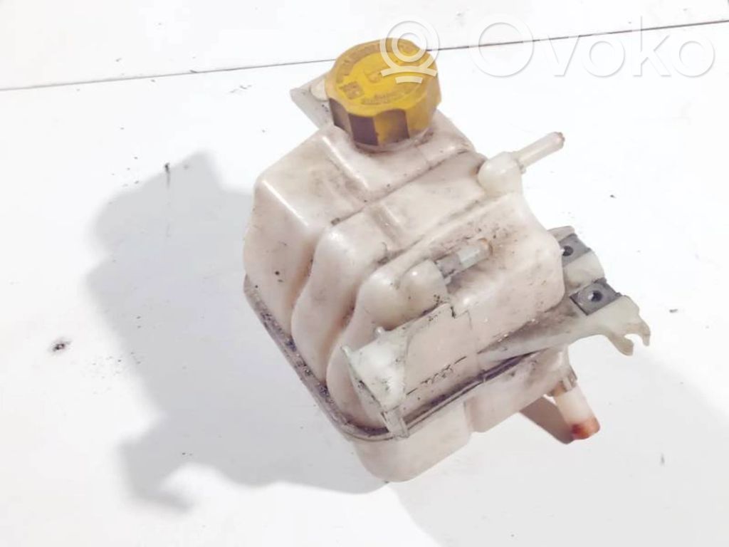 Chevrolet Captiva Serbatoio di compensazione del liquido refrigerante/vaschetta 