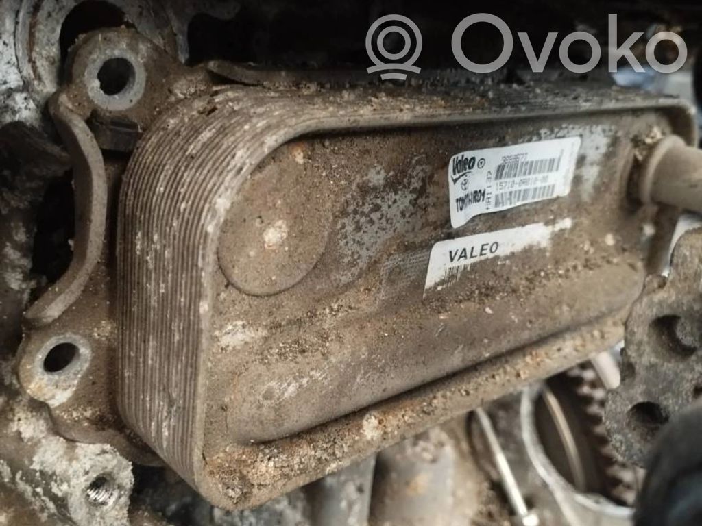 Chłodnica oleju   388967T,157100R01000,157100R01000,388967T