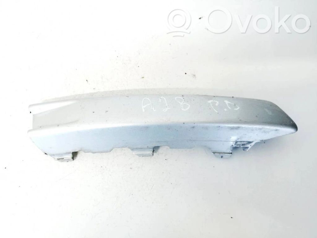 Volkswagen PASSAT B6 Modanatura separatore del paraurti anteriore 