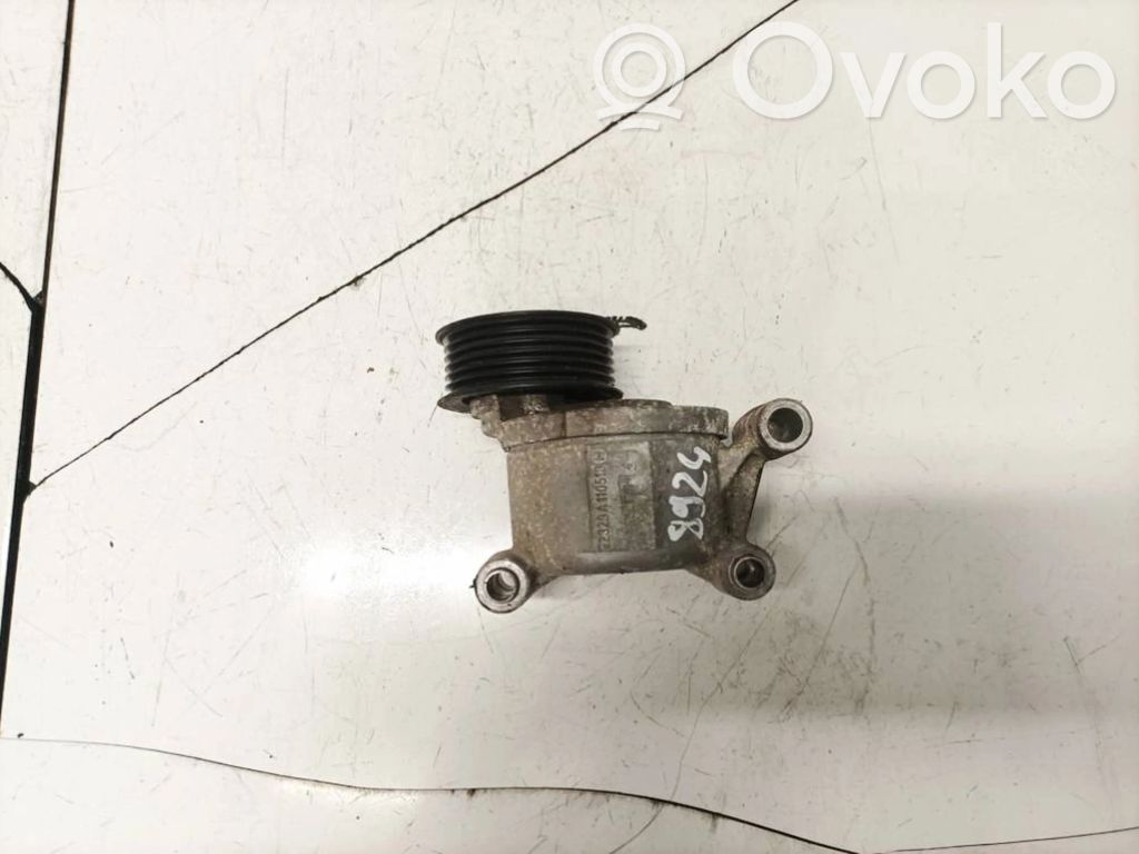 Volvo V50 Tendicinghia generatore/alternatore