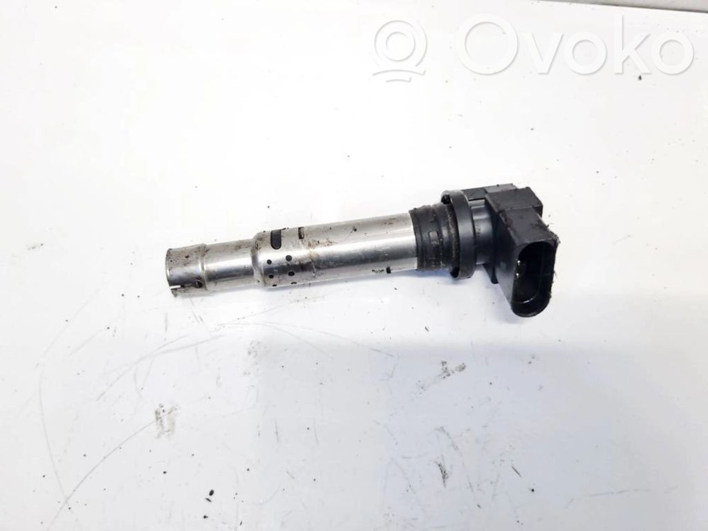 Skoda Roomster (5J) Suurjännitesytytyskela 