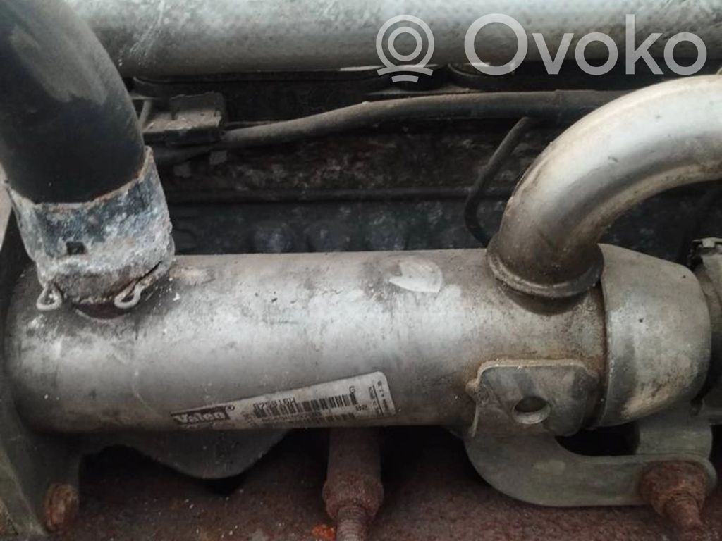 Peugeot 307 Valvola di raffreddamento EGR