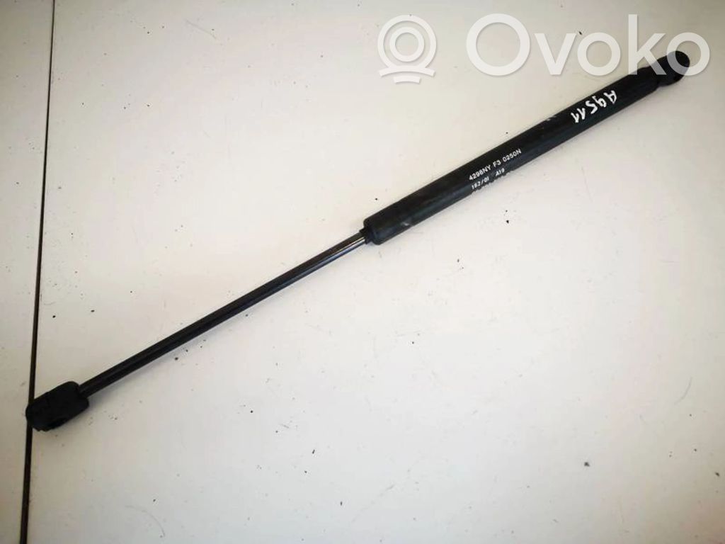 Peugeot 406 Ammortizzatore portellone posteriore/bagagliaio