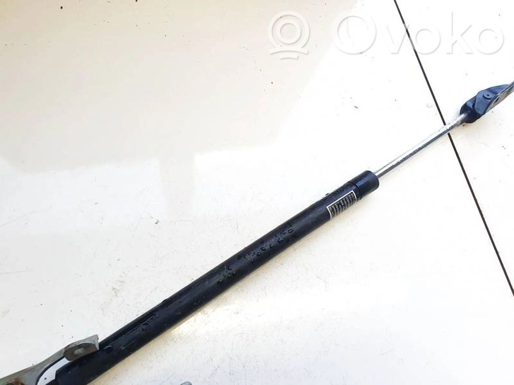 Amortizor capotă motor