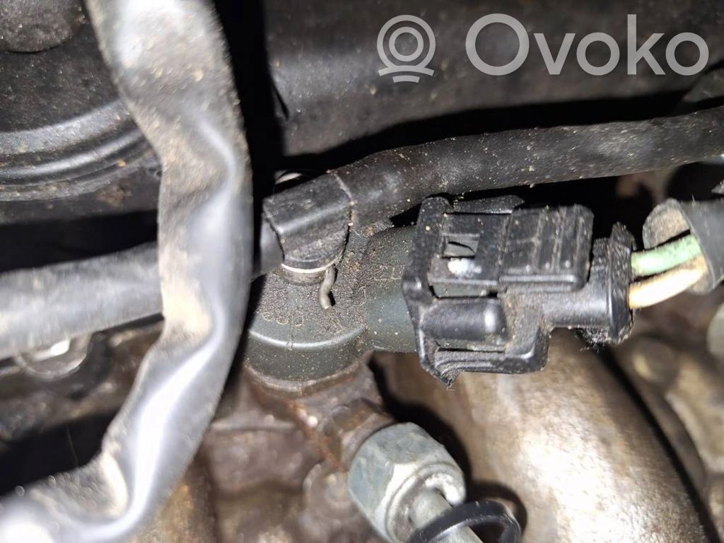 Inyector de combustible   9653344880,9653344880