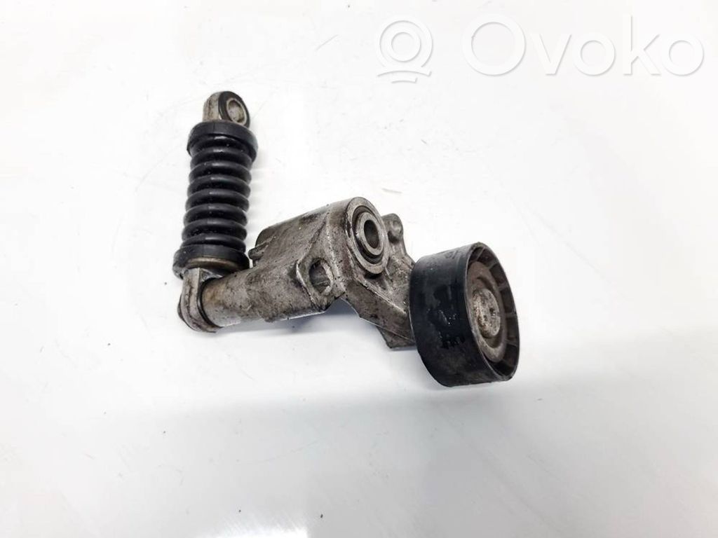 Peugeot Partner Întinzător curea generator/alternator 