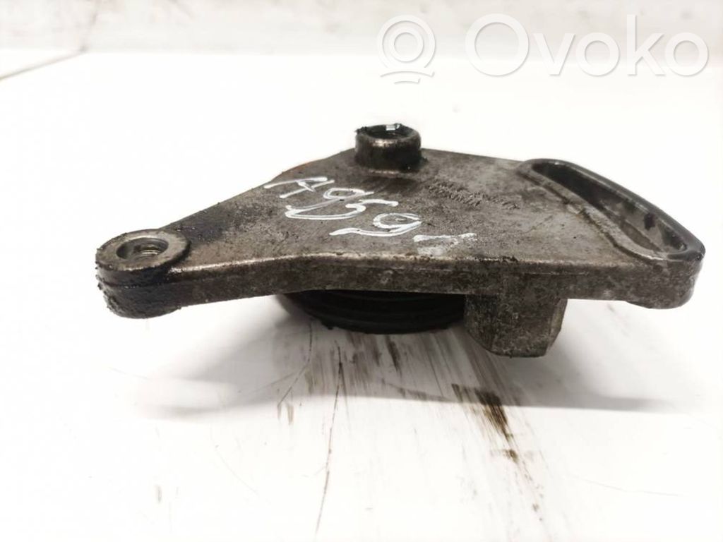 Volkswagen PASSAT B5.5 Întinzător curea generator/alternator 