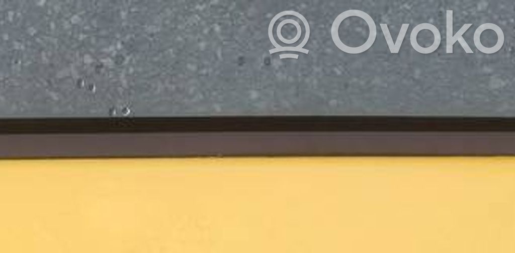 Verkleidung Türfenster Türscheibe hinten