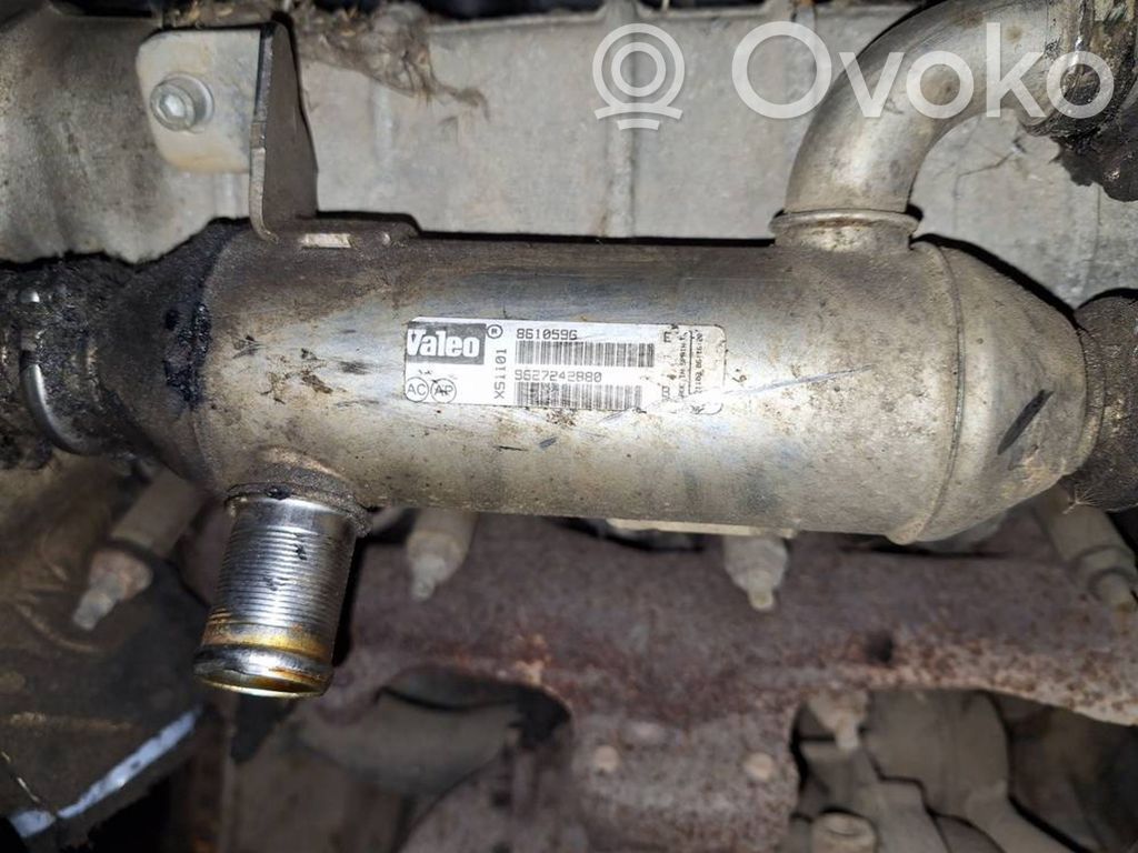 Citroen C5 Răcitor supapă EGR 