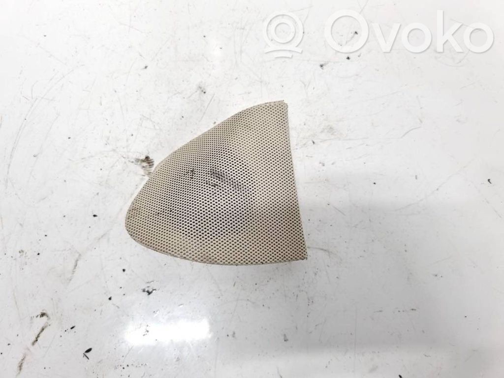 Moldura protectora del altavoz lateral