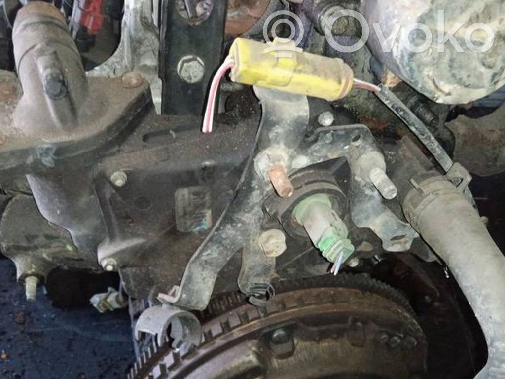 Peugeot 406 Tubo flessibile del liquido di raffreddamento del motore