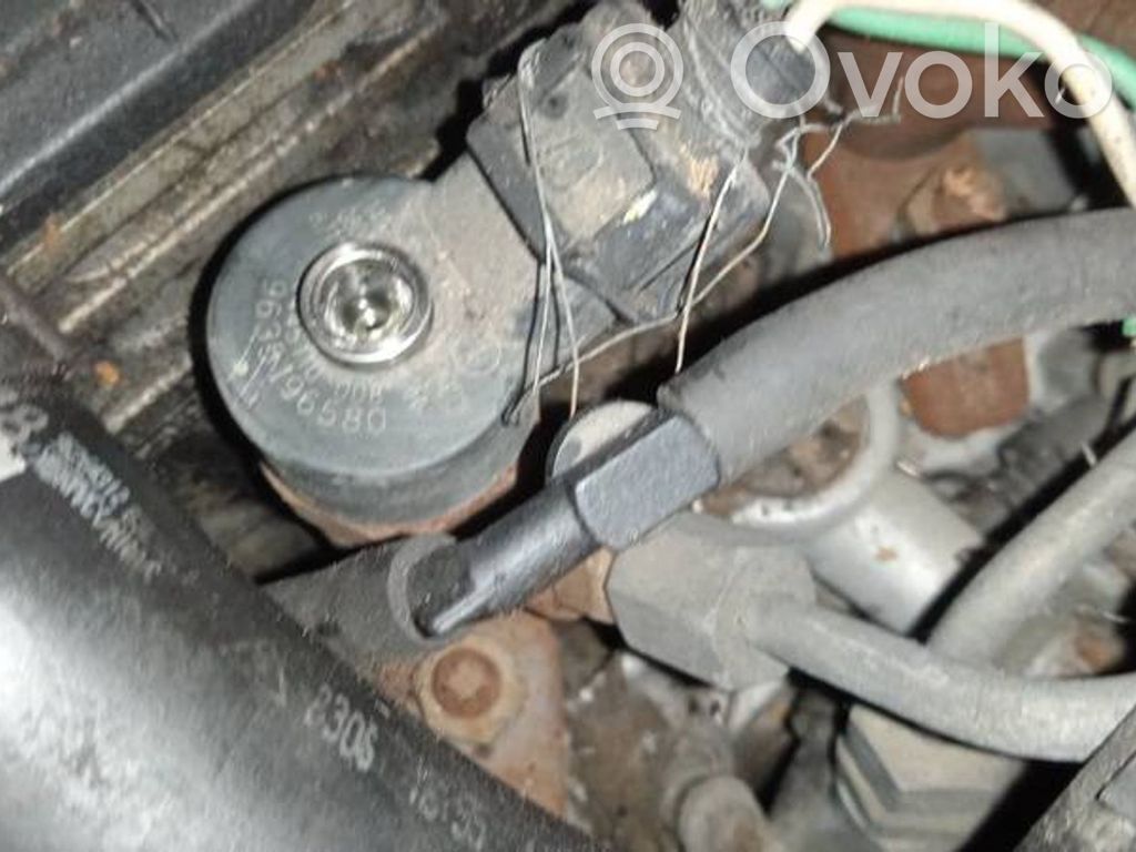 Injector combustibil   0445110008,9635196580,0445110008,9635196580
