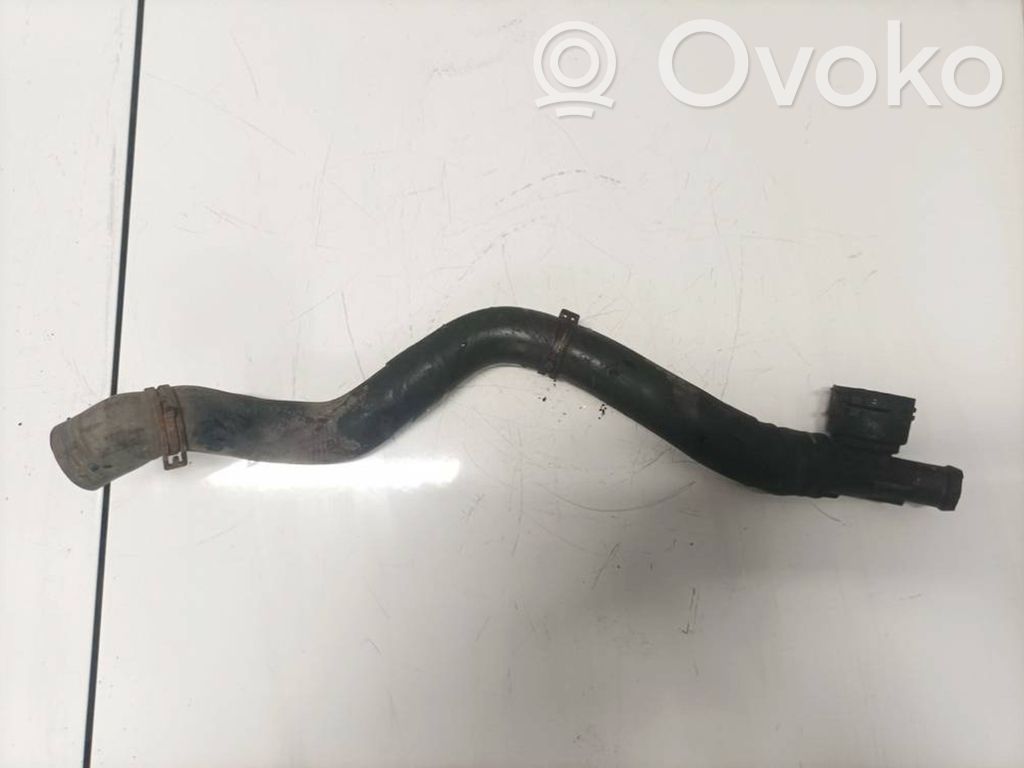 Volkswagen PASSAT B5.5 Tubo flessibile radiatore
