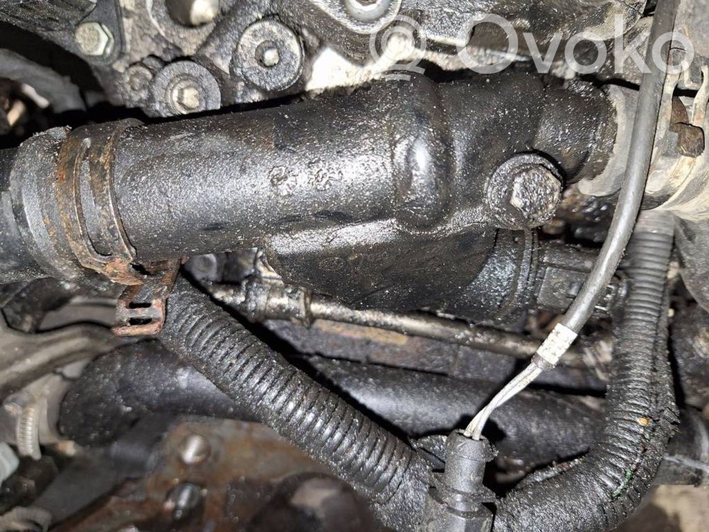 Volkswagen PASSAT B6 Conductă/furtun lichid de răcire motor 