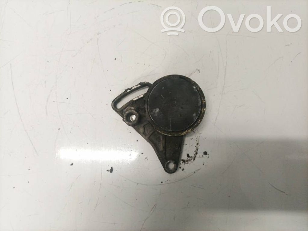 Volkswagen PASSAT B5 Tendicinghia generatore/alternatore 