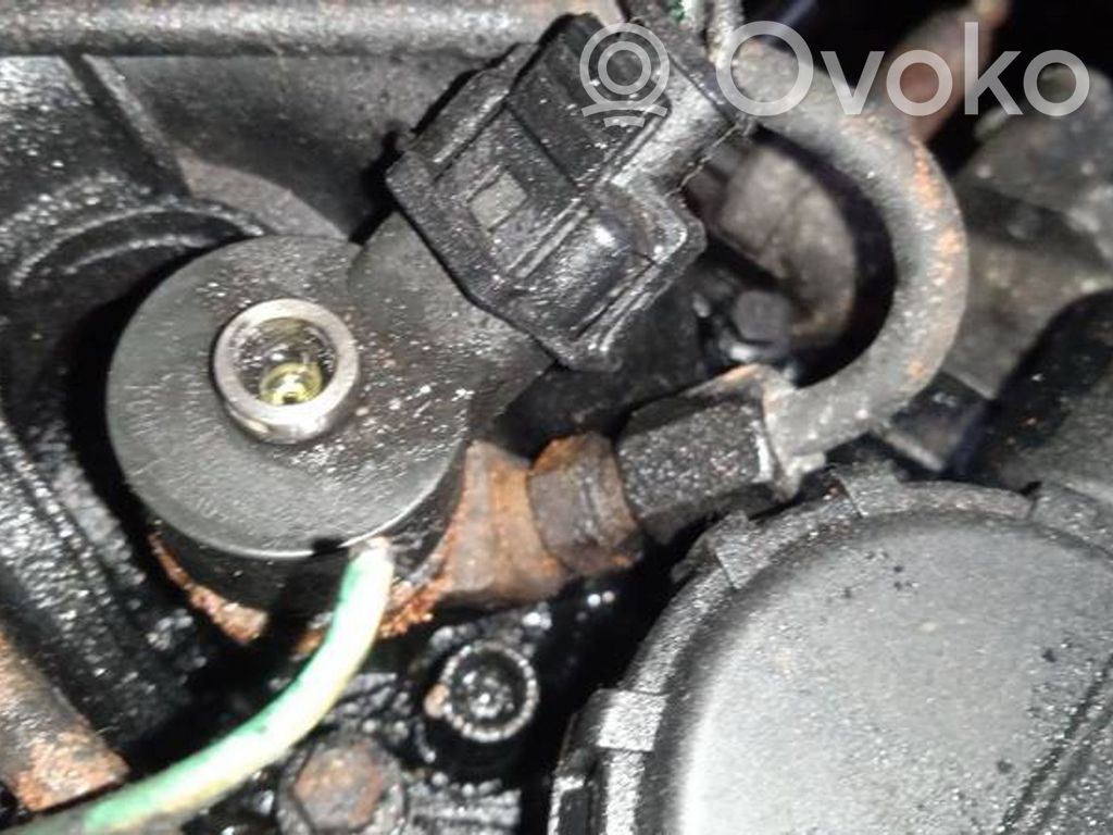 Injector combustibil   0445110239,0445110239