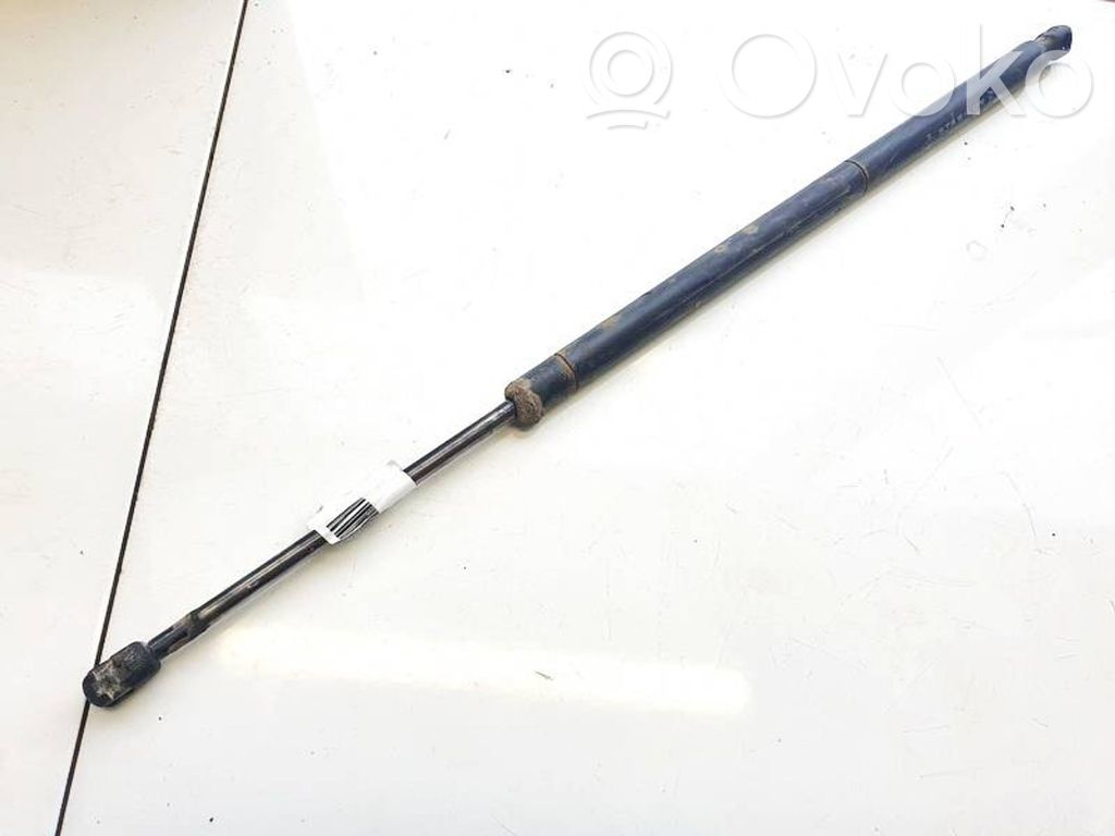 Chrysler Grand Voyager IV Tailgate/trunk strut/damper 