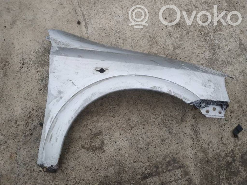 Opel Astra G Lokasuoja