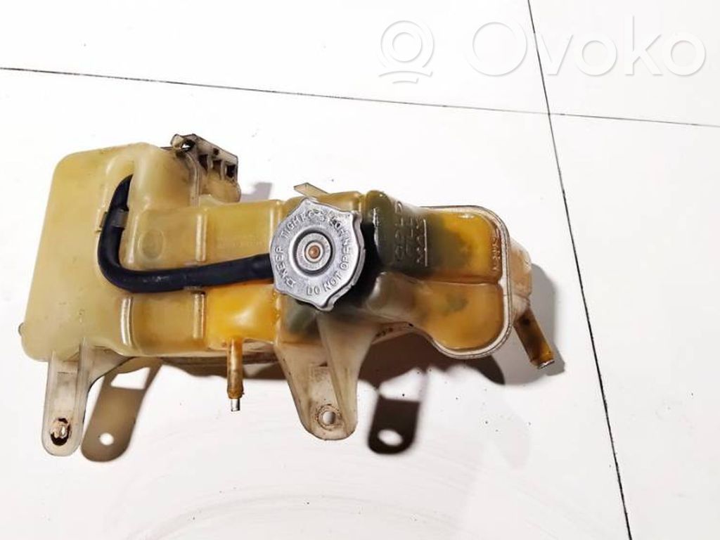 Chrysler 300 - 300C Serbatoio di compensazione del liquido refrigerante/vaschetta 