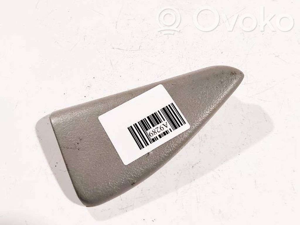 Renault Scenic I Altra parte interiore 