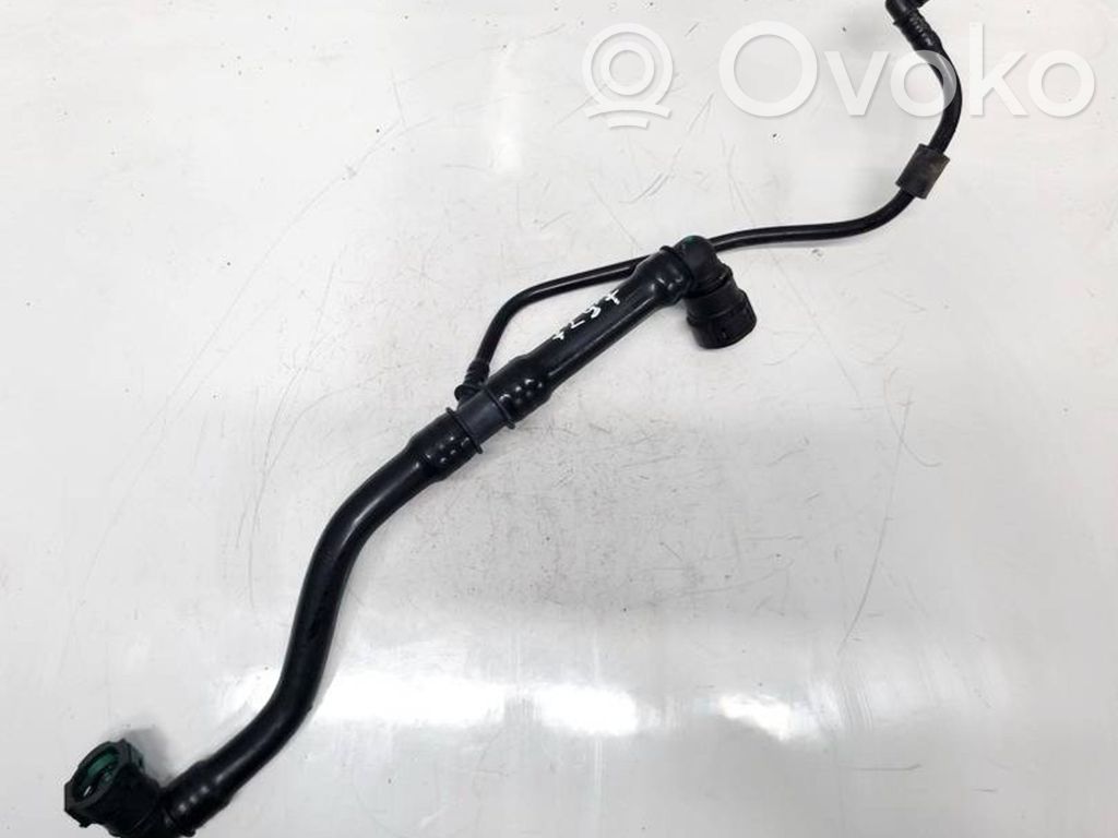 Land Rover Range Rover Evoque L551 Conductă/furtun lichid de răcire motor