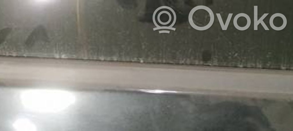 Listón embellecedor de la ventana de la puerta trasera