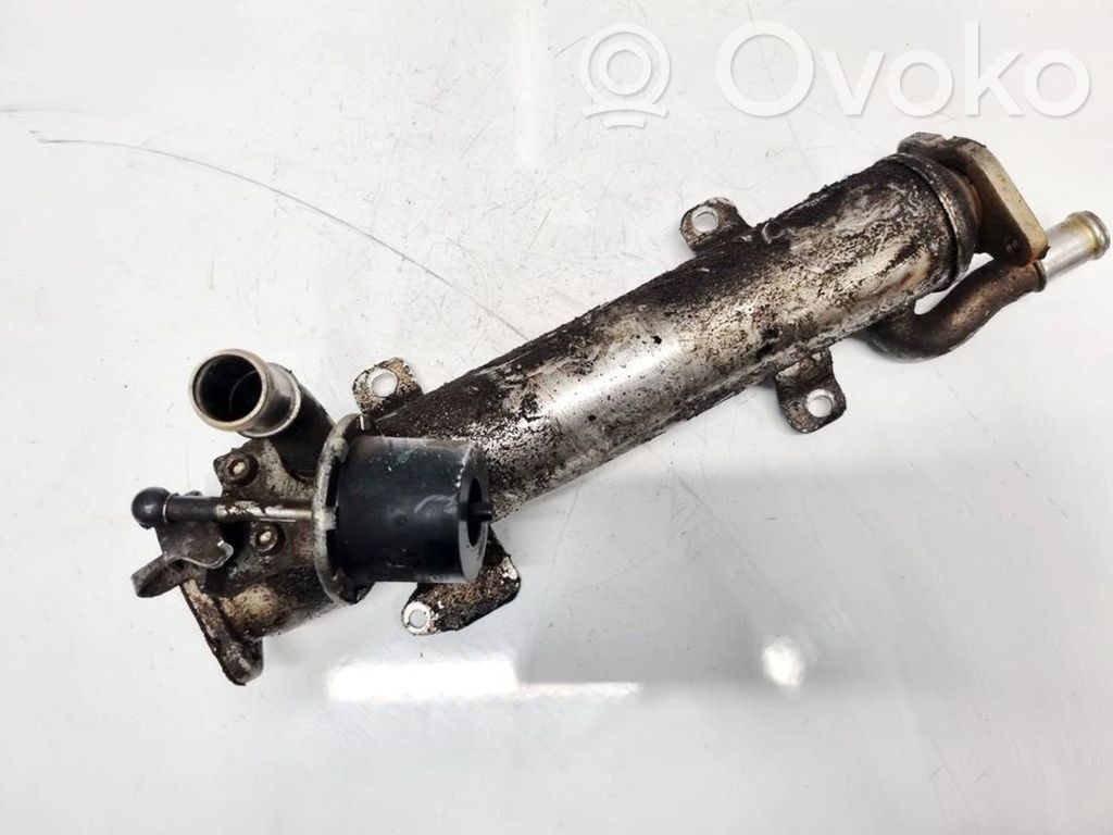 Volkswagen Golf VI Valvola di raffreddamento EGR