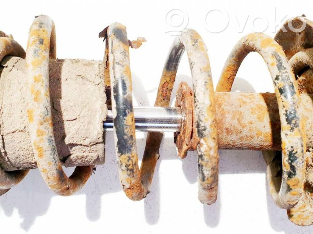 Front coil spring