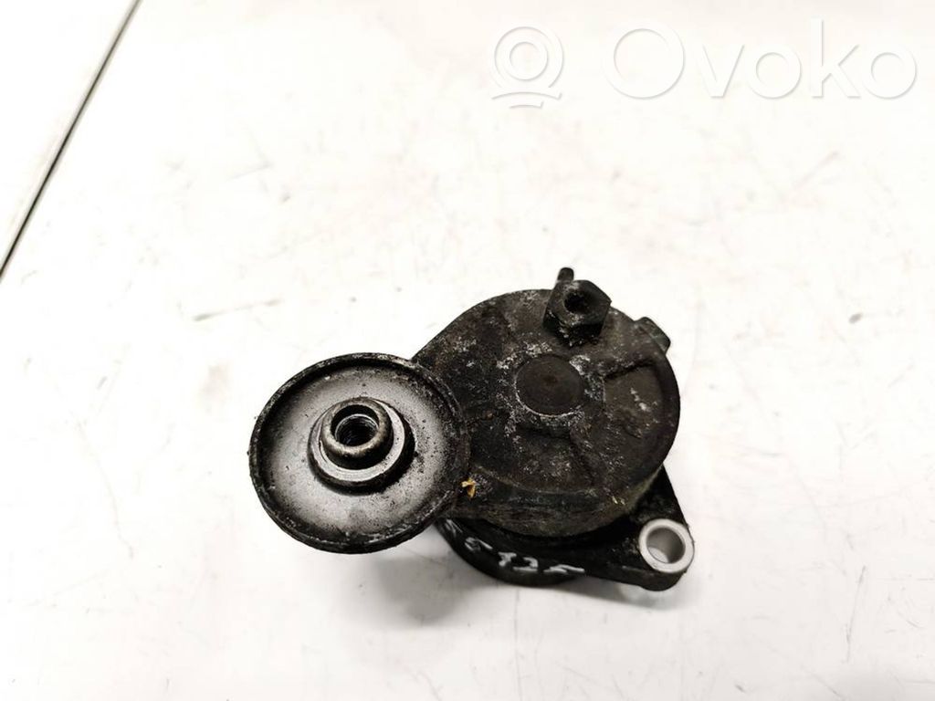 BMW 5 E39 Tensor de correa del alternador 