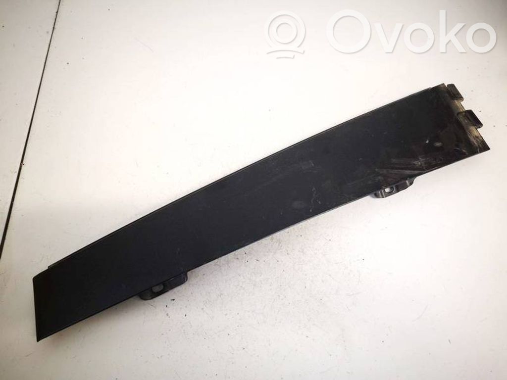 Volkswagen PASSAT B6 Ornament geam ușă spate 