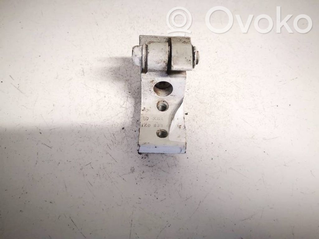 Skoda Octavia Mk2 (1Z) Cerniera inferiore della portiera posteriore