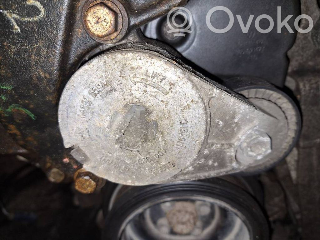 Dodge Journey Tendicinghia generatore/alternatore 