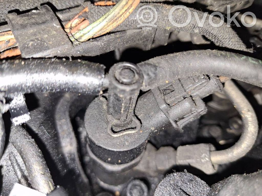 Citroen Berlingo Injector combustibil