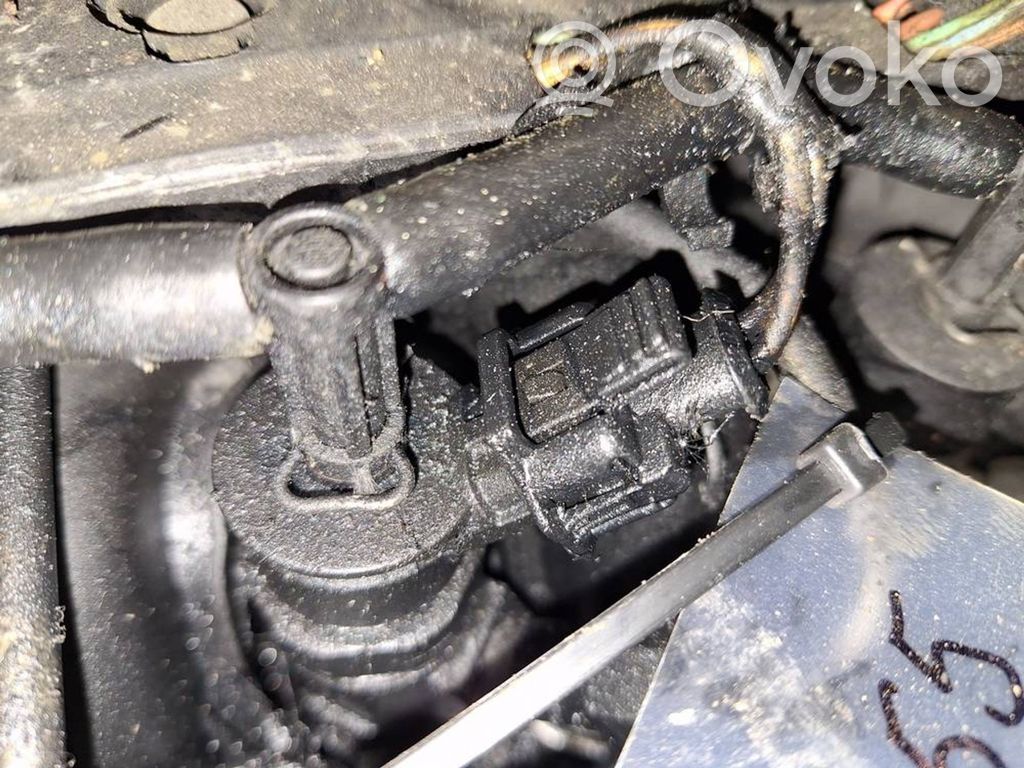 Citroen Berlingo Injector combustibil