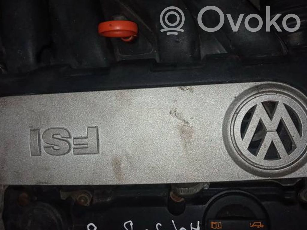 Volkswagen PASSAT B6 Capac protecție motor 