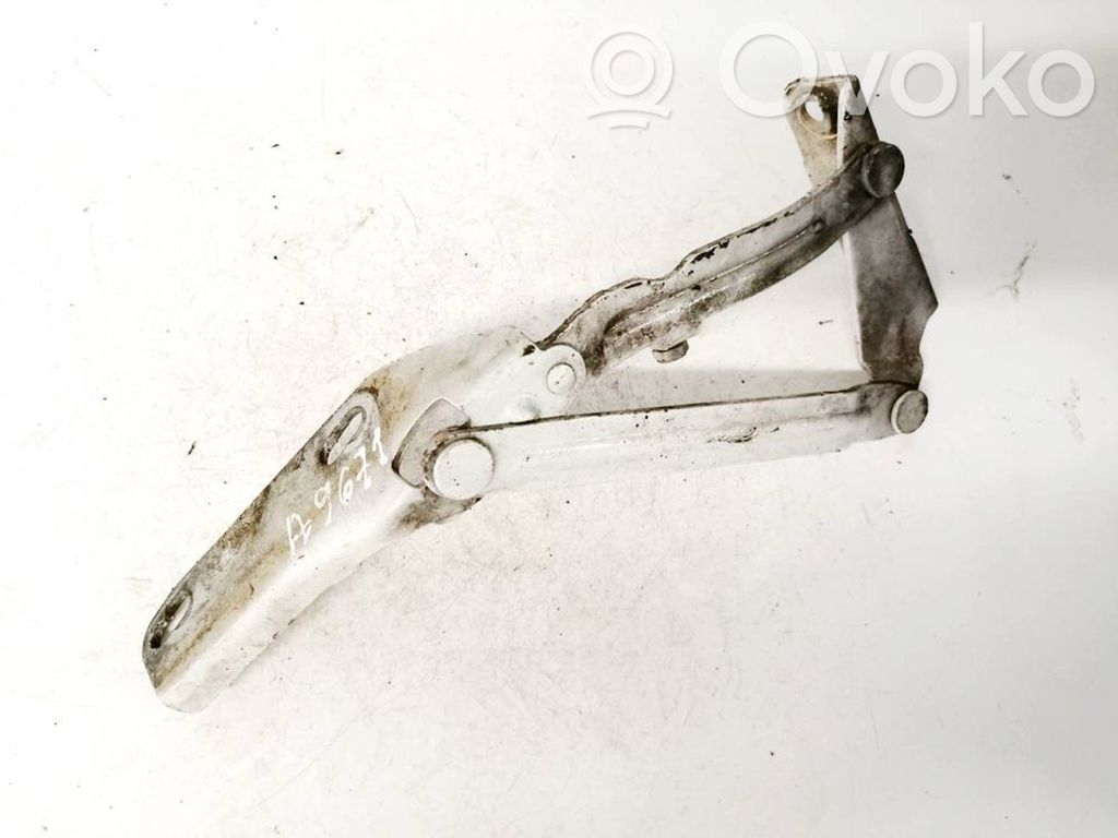 Volkswagen Crafter Balamale capotă 