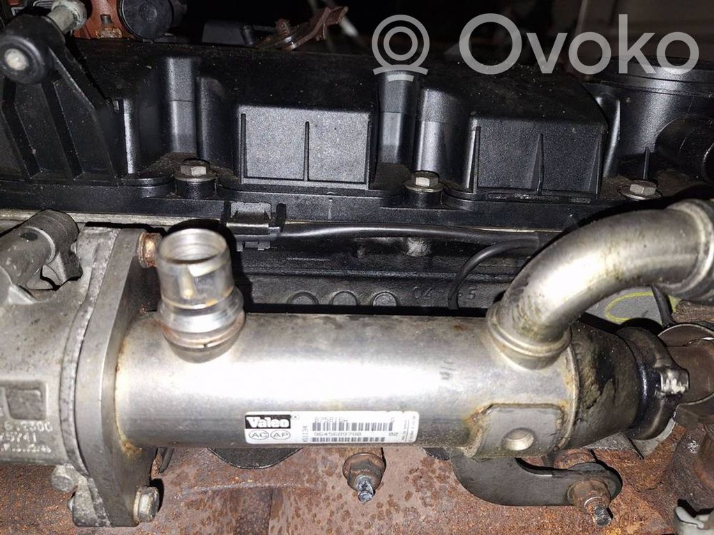 Volvo V50 Răcitor supapă EGR 