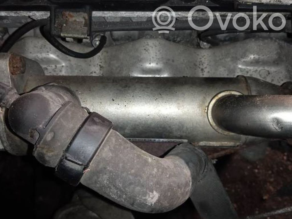Citroen C5 Valvola di raffreddamento EGR 