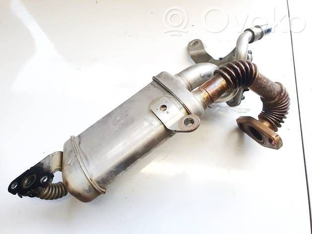 Valvola di raffreddamento EGR   147350364R,41981998B,147350364R,41981998B