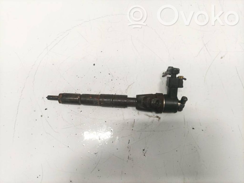 Injector combustibil   0445110243,0445110243