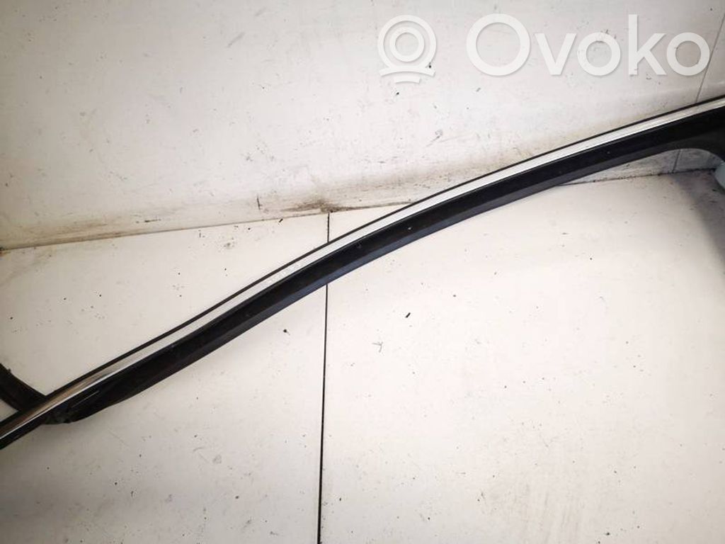 Volkswagen PASSAT B6 Ornament geam ușă față 