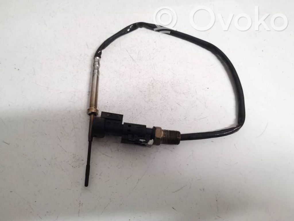 BMW X1 F48 F49 Abgastemperatursensor